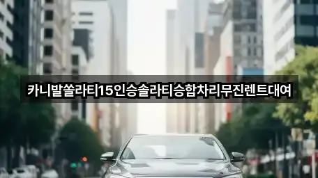 카니발쏠라티15인승솔라티승합차리무진렌트대여