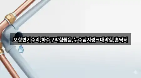 포항변기수리,하수구막힘뚫음,누수탐지씽크대막힘,홈닥터
