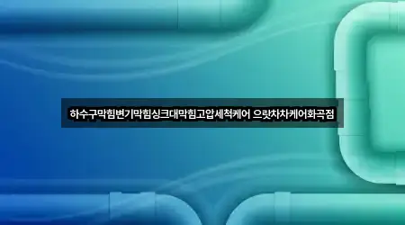 하수구막힘변기막힘싱크대막힘고압세척케어 으랏차차케어화곡점