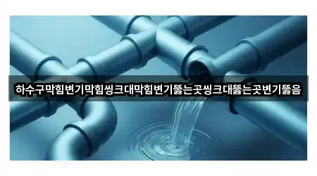 광주광역시 남구 사동 변기뚫음 5곳 위치 링크