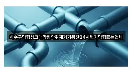 하수구막힘싱크대막힘악취제거기똥찬24시변기막힘뚫는업체