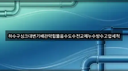 하수구싱크대변기배관막힘뚫음수도수전교체누수방수고압세척