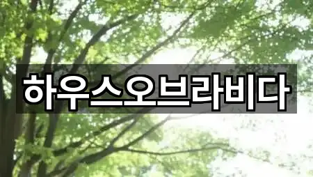 하우스오브라비다