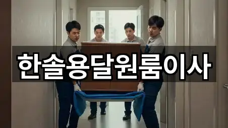 한솔용달원룸이사