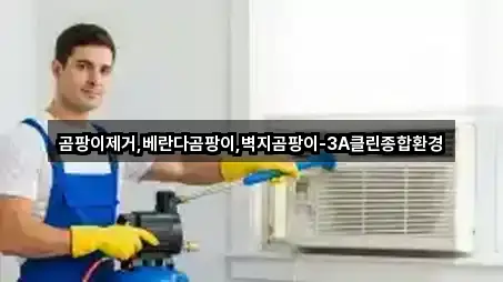 곰팡이제거,베란다곰팡이,벽지곰팡이-3A클린종합환경