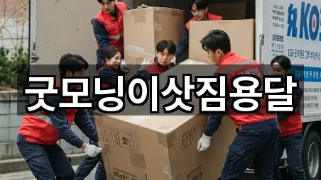 굿모닝이삿짐용달