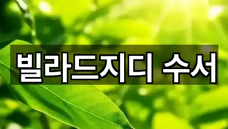 빌라드지디 수서