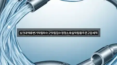 싱크대역류변기막힘하수구막힘집수정청소욕실막힘횡주관고압세척