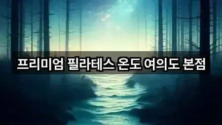 프리미엄 필라테스 온도 여의도 본점