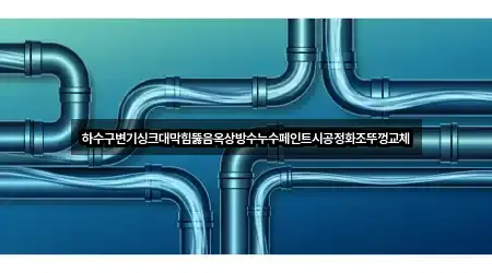 하수구변기싱크대막힘뚫음옥상방수누수페인트시공정화조뚜껑교체