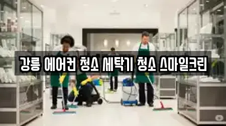 강원특별자치도 강릉시 연곡면 청소 상세정보 5