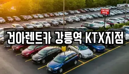 강원 강릉시 교동 렌트카 전문 건아렌트카 강릉역 KTX지점