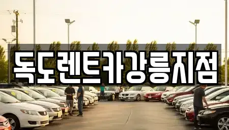 강원 강릉시 교동 렌트카 전문 독도렌트카강릉지점