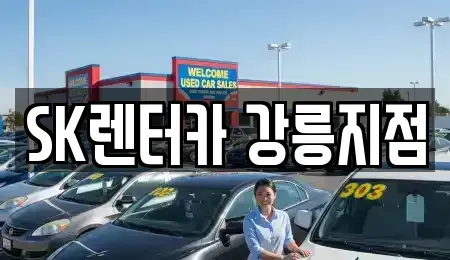 강원 강릉시 교동 장기렌트카 전문 SK렌터카 강릉지점