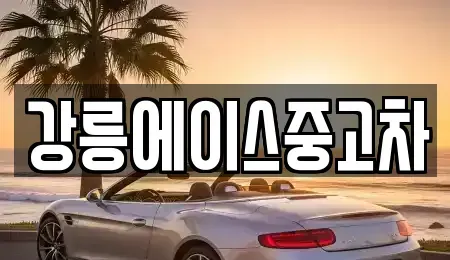 강원 강릉시 교동 중고차 전문 강릉에이스중고차