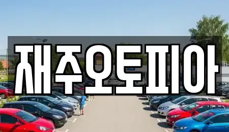 강원 강릉시 교동 중고차매매 전문 재주오토피아