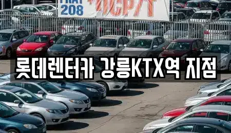 강원 강릉시 임당동 렌트카 전문 롯데렌터카 강릉KTX역 지점