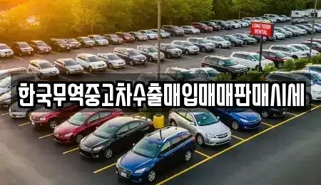 강원 강릉시 임당동 중고차매입 전문 한국무역중고차수출매입매매판매시세