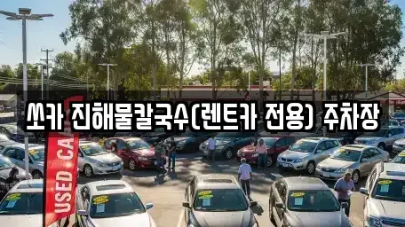 강원 삼척시 당저동 렌트카 전문 쏘카 진해물칼국수(렌트카 전용) 주차장