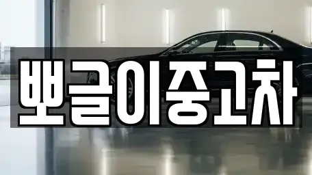 강원 삼척시 사직동 중고차 전문 뽀글이중고차