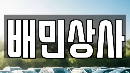 강원 삼척시 사직동 중고차매매 전문 배민상사