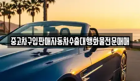 강원 속초시 동명동 중고차 전문 중고차구입판매자동차수출대행화물전문매매