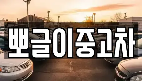 강원 속초시 영랑동 중고차 전문 뽀글이중고차