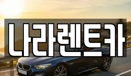 강원 원주시 문막읍 렌트카 전문 나라렌트카