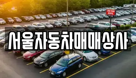 강원 원주시 문막읍 중고차매매 전문 서울자동차매매상사