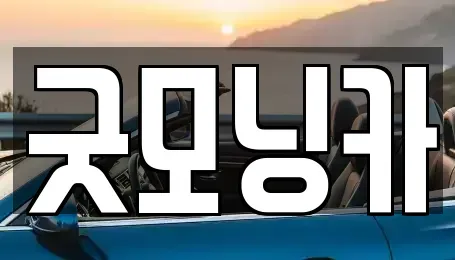 강원 춘천시 낙원동 중고차 전문 굿모닝카