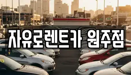 강원 횡성군 렌트카 전문 자유로렌트카 원주점