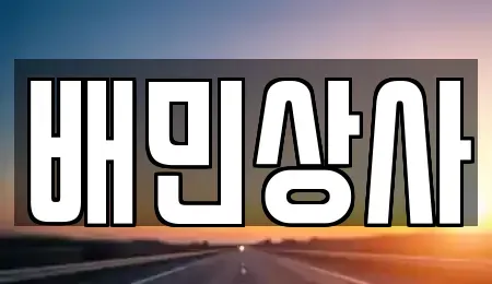 강원특별자치도 강릉시 견소동 중고차 전문 배민상사