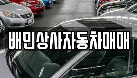 강원특별자치도 강릉시 견소동 중고차 전문 배민상사자동차매매