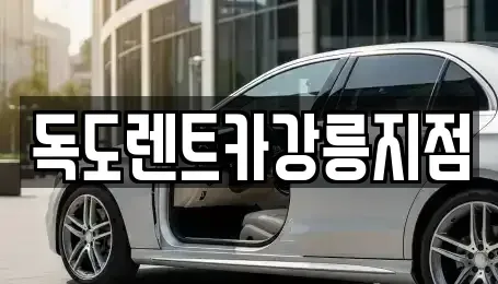 강원특별자치도 강릉시 교동 렌트카 전문 독도렌트카강릉지점