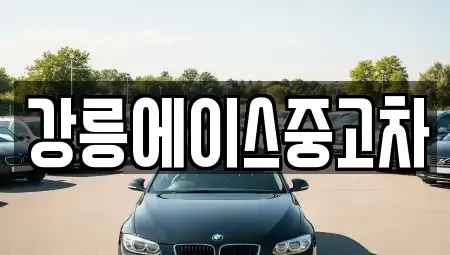 강원특별자치도 강릉시 교동 중고차 전문 강릉에이스중고차