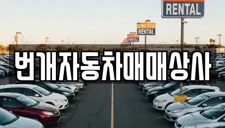 강원특별자치도 강릉시 교동 중고차 전문 번개자동차매매상사