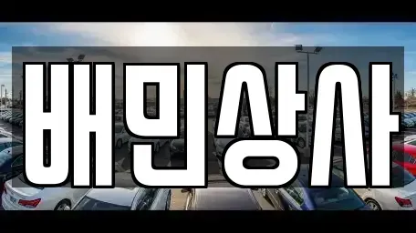 강원특별자치도 강릉시 남항진동 중고차매매 전문 배민상사