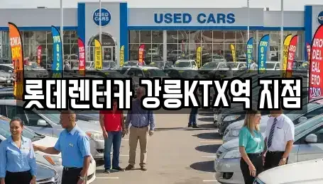 강원특별자치도 강릉시 렌트카 전문 롯데렌터카 강릉KTX역 지점
