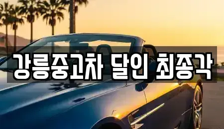 강원특별자치도 강릉시 운산동 중고차매매 전문 강릉중고차 달인 최종각