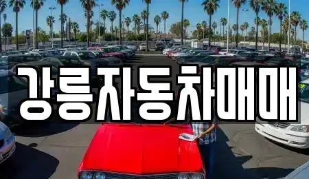 강원특별자치도 강릉시 유산동 중고차 전문 강릉자동차매매