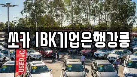 강원특별자치도 강릉시 임당동 렌트카 전문 쏘카 IBK기업은행강릉