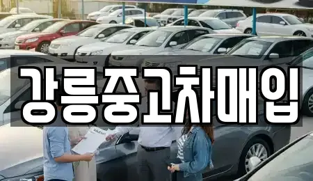 강원특별자치도 강릉시 임당동 중고차매매 전문 강릉중고차매입