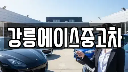 강원특별자치도 강릉시 중고차 전문 강릉에이스중고차