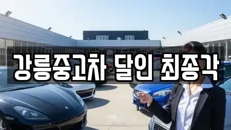 강원특별자치도 강릉시 중고차,렌트카,중고차매입,중고차매매,장기렌트카,단기렌트카