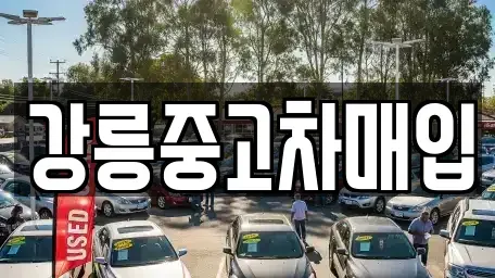 강원특별자치도 강릉시 중고차매입 전문 강릉중고차매입