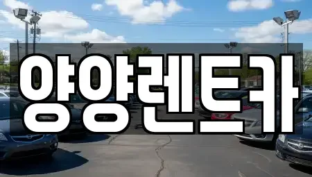 강원특별자치도 렌트카,단기렌트카,장기렌트카,중고차,중고차매매,중고차매입