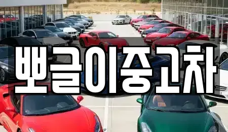 강원특별자치도 삼척시 등봉동 중고차매매 전문 뽀글이중고차