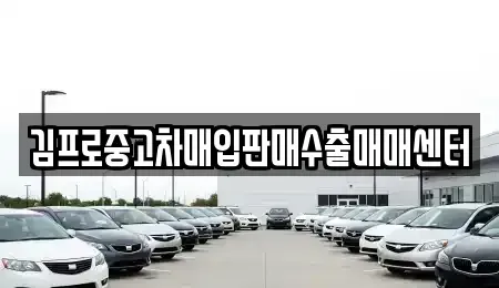 강원특별자치도 삼척시 성내동 중고차매입 전문 김프로중고차매입판매수출매매센터