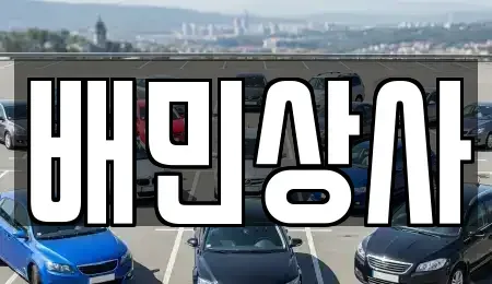 강원특별자치도 삼척시 읍상동 중고차 전문 배민상사