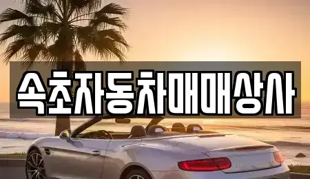 강원특별자치도 속초시 중고차 전문 속초자동차매매상사